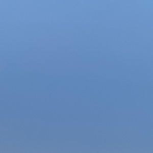 Meet your Posher, Ellis